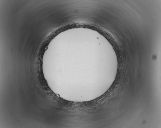 X0000116670776201001111310