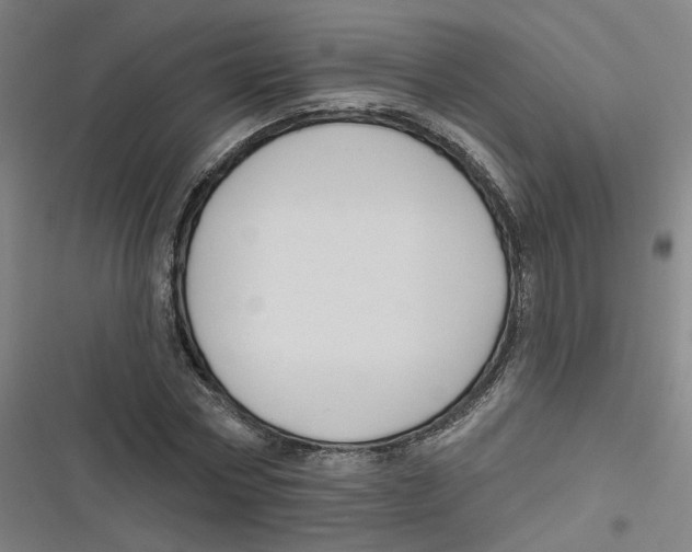 X0000116670778201001111310