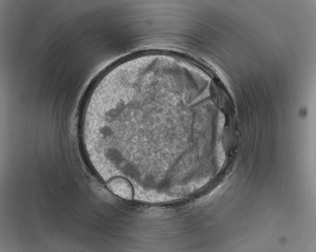 X0000116670779201001111310