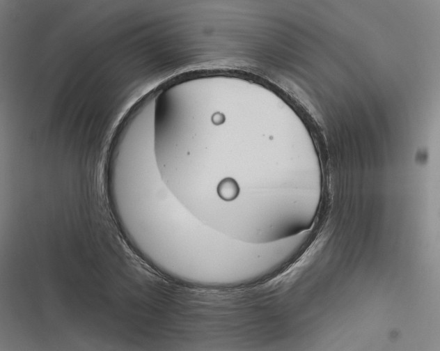 X0000116670781201001111310