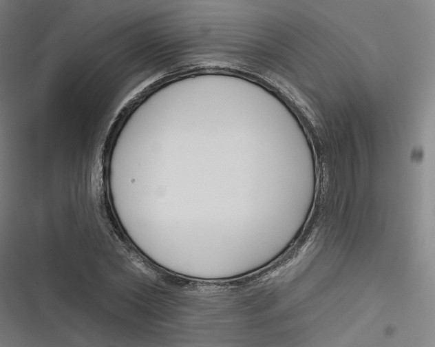 X0000116670782201001111310