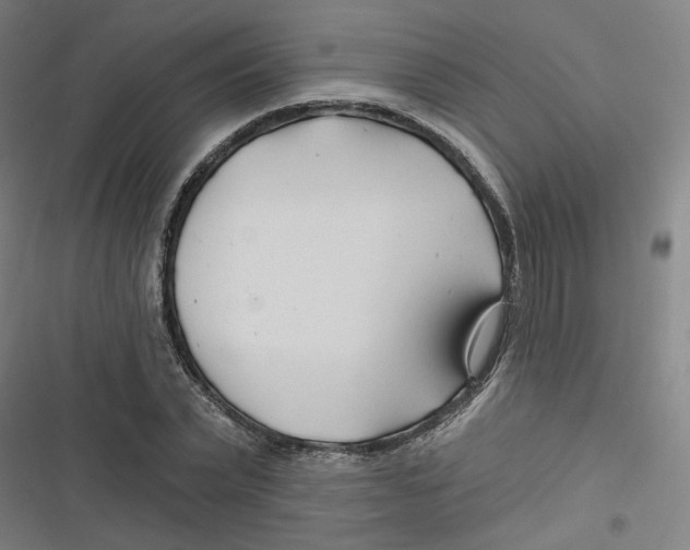 X0000116670783201001111310