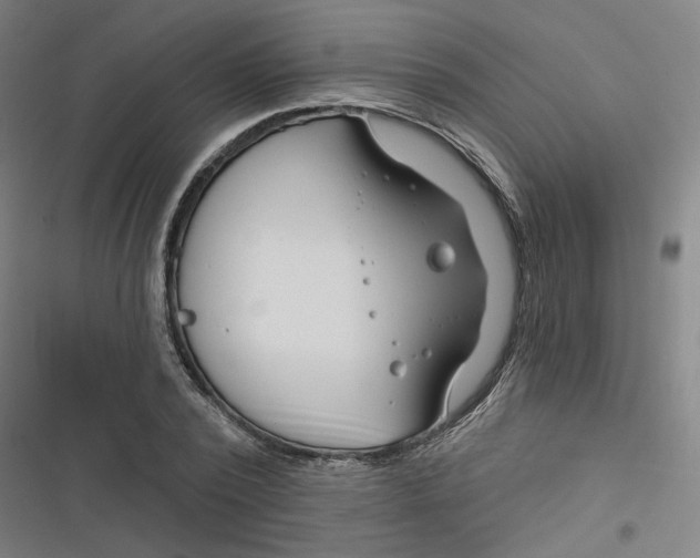 X0000116670784201001111310