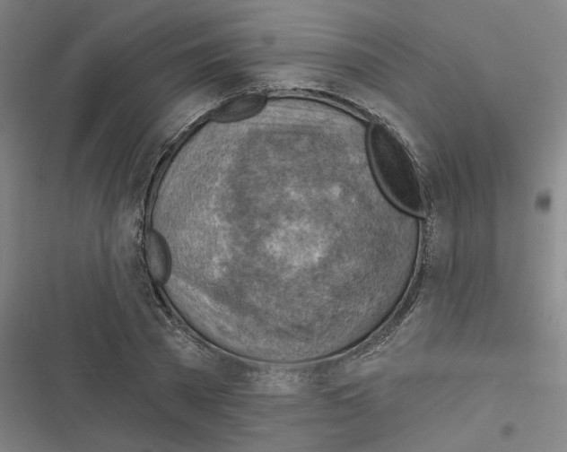 X0000116670785201001111310