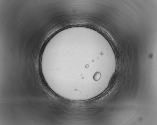 X0000116670786201001111310