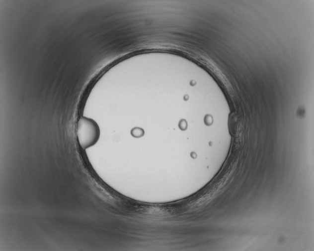 X0000116670787201001111310