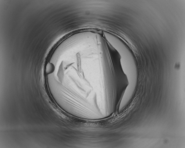 X0000116670788201001111310