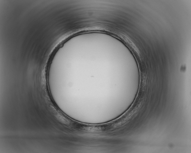 X0000116670789201001111310