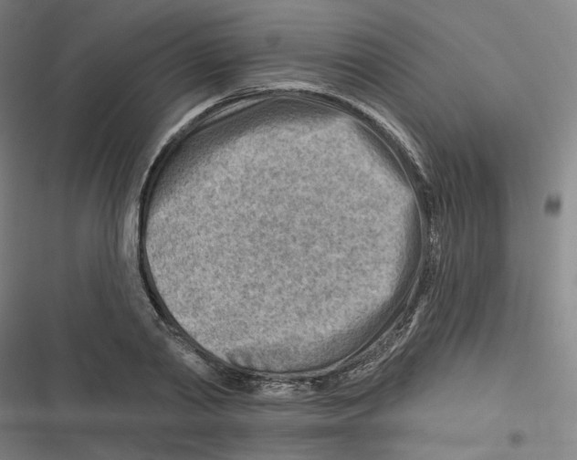 X0000116670790201001111310