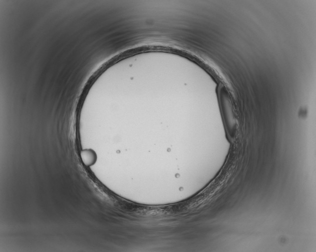 X0000116670791201001111310