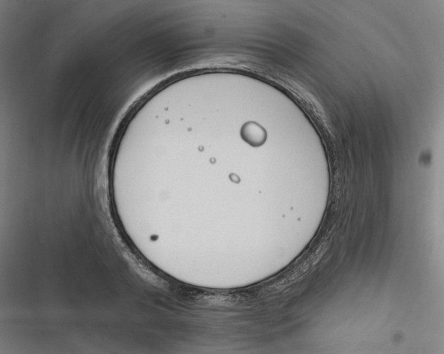 X0000116670792201001111310