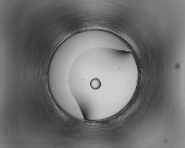 X0000116670793201001111310