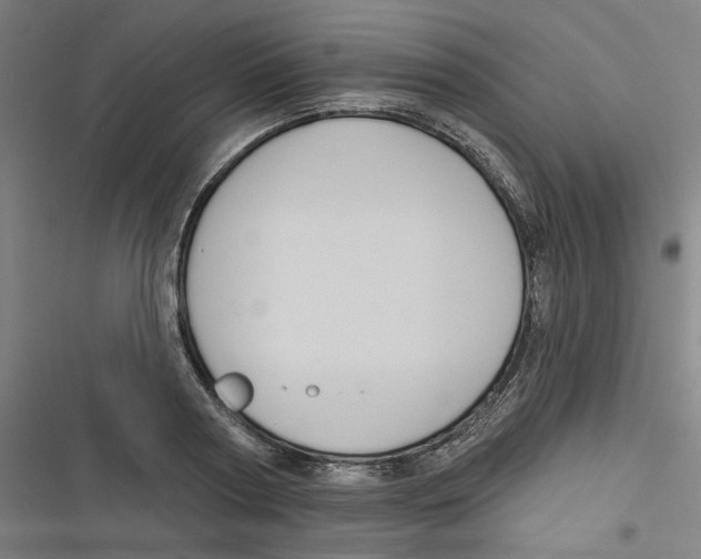 X0000116670794201001111310