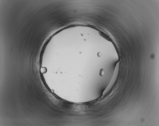 X0000116670795201001111310