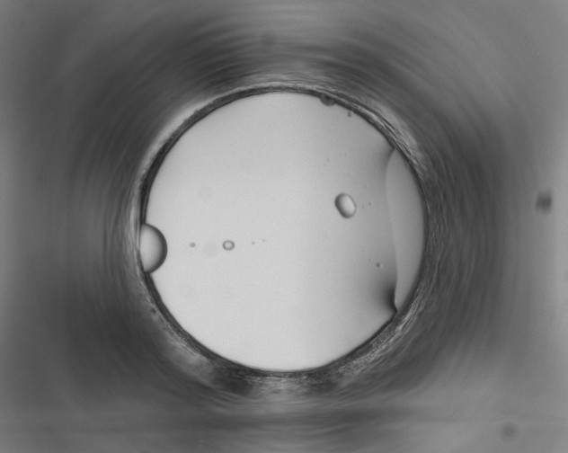 X0000116670796201001111310