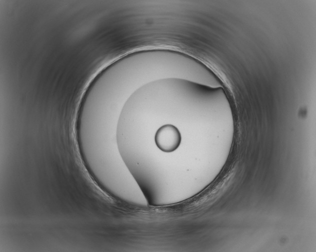 X0000116670797201001111310