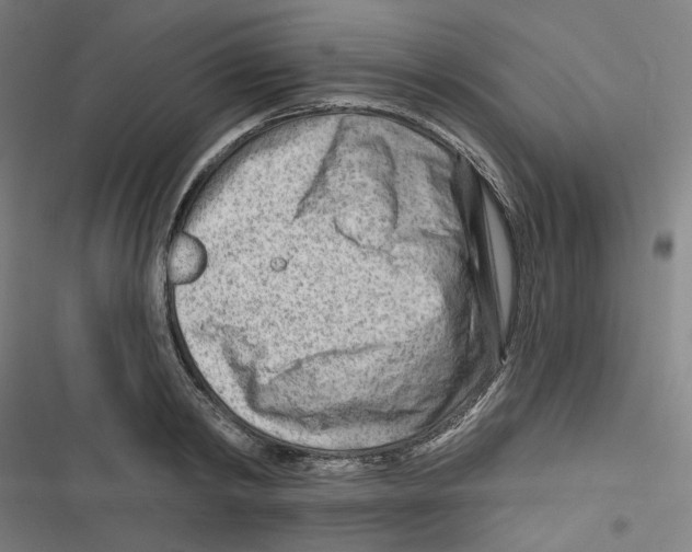 X0000116670798201001111310