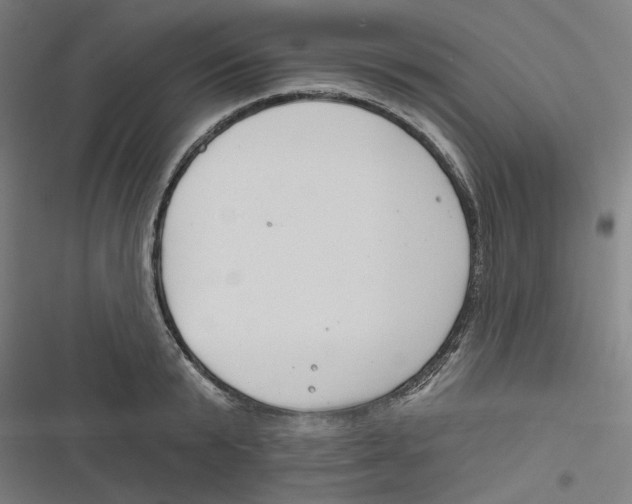 X0000116670799201001111310