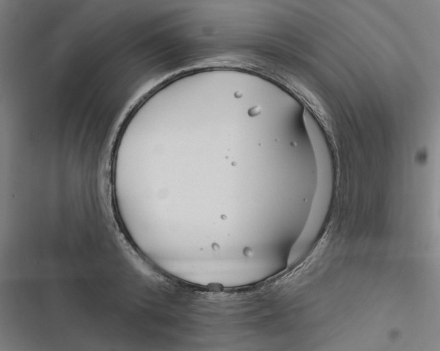 X0000116670800201001111310