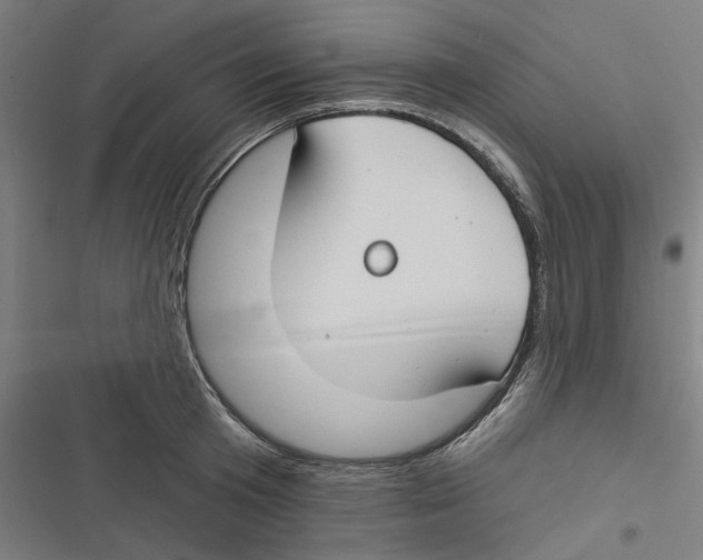 X0000116670801201001111310