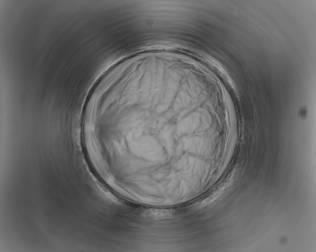 X0000116670802201001111310