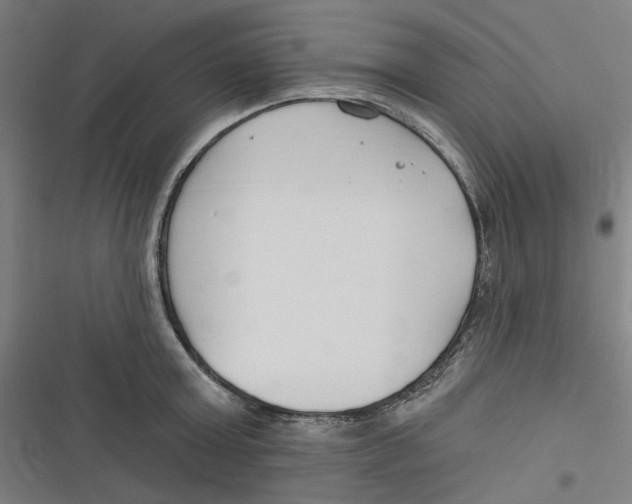 X0000116670803201001111310