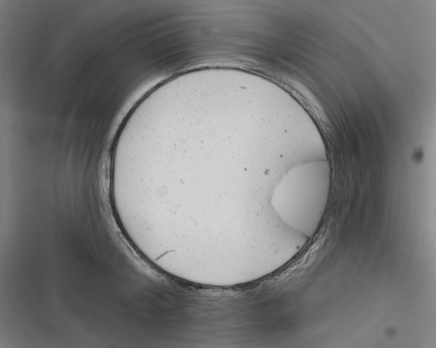 X0000116670804201001111310