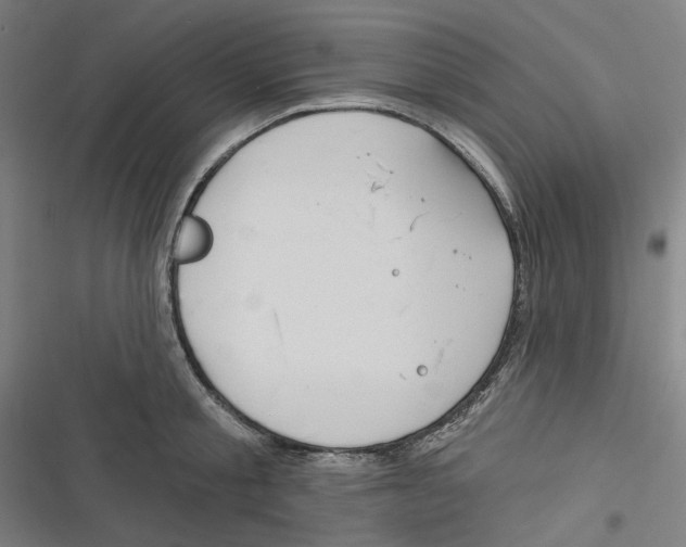 X0000116670805201001111309