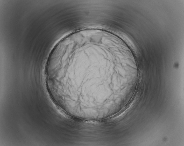 X0000116670806201001111309