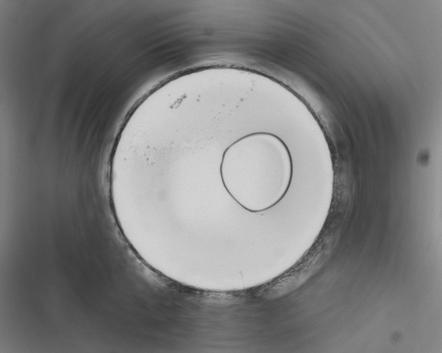 X0000116670807201001111309