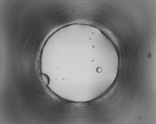 X0000116670808201001111309