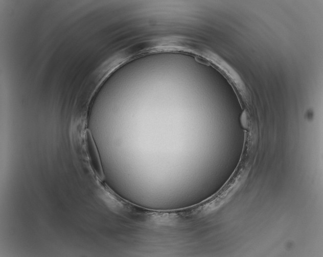 X0000116670809201001111309