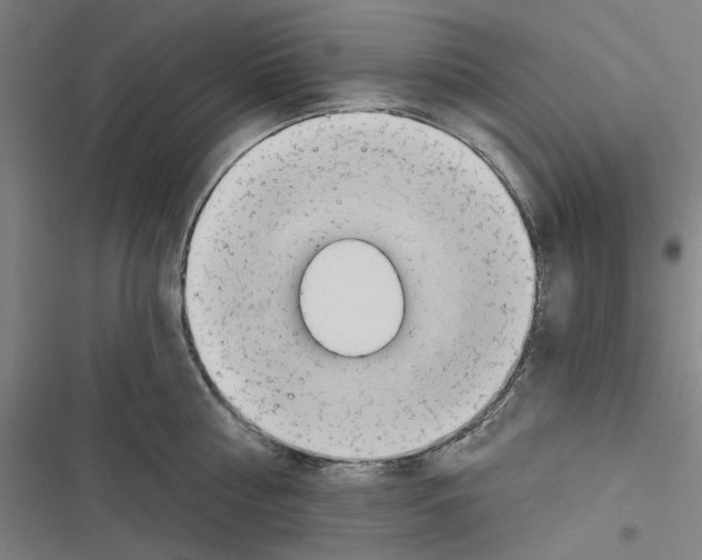 X0000116670810201001111309