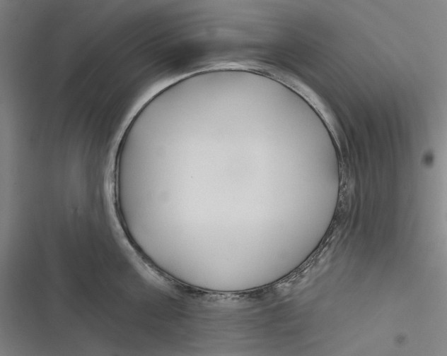 X0000116670811201001111309