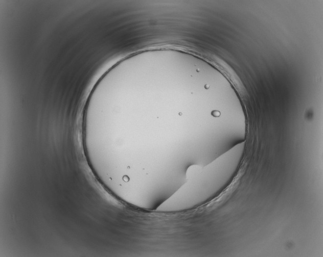 X0000116670812201001111309