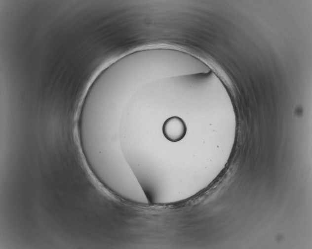 X0000116670813201001111309