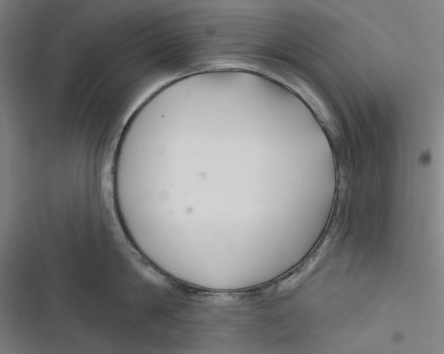 X0000116670814201001111309