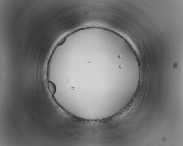 X0000116670815201001111309