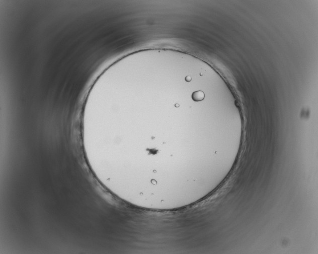 X0000116670816201001111309