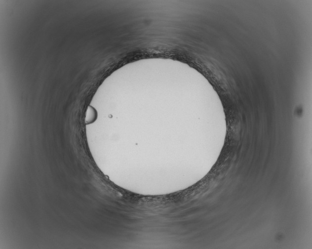 X0000116670817201001111309