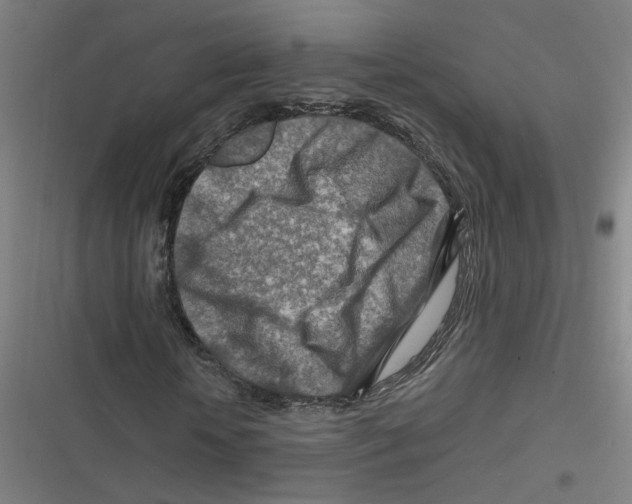 X0000116670818201001111309