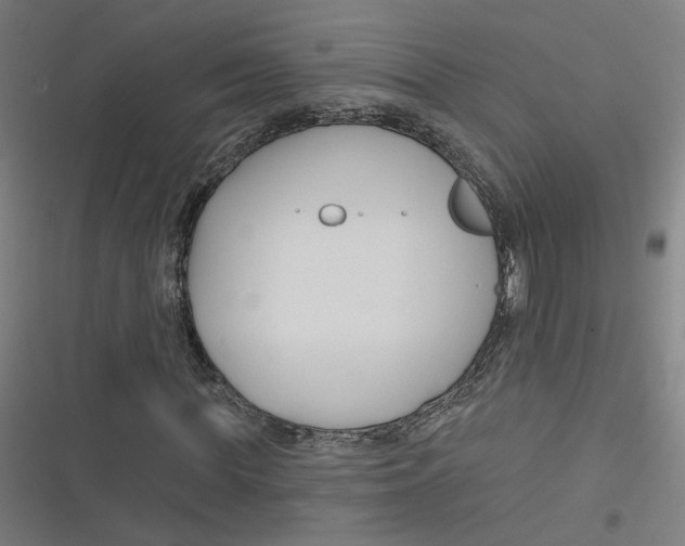 X0000116670819201001111309