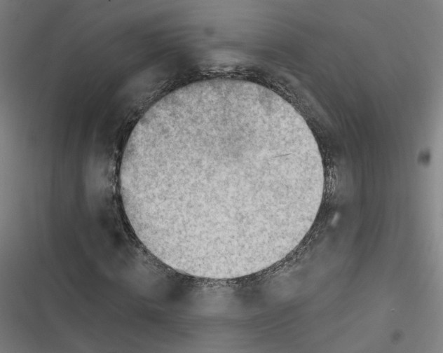 X0000116670820201001111309