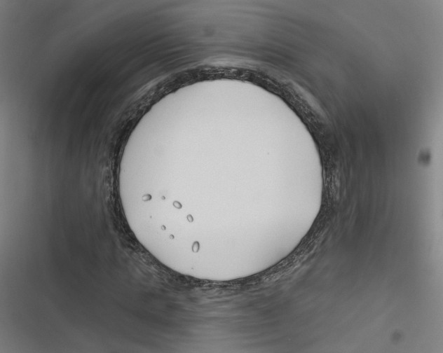 X0000116670821201001111309