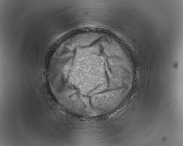 X0000116670822201001111309