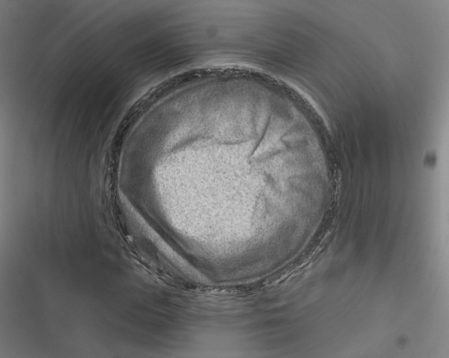 X0000116670823201001111309