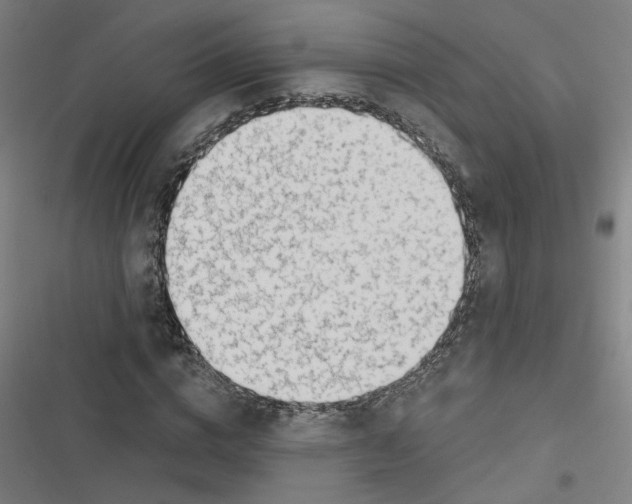 X0000116670824201001111309