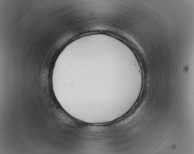 X0000116670825201001111309