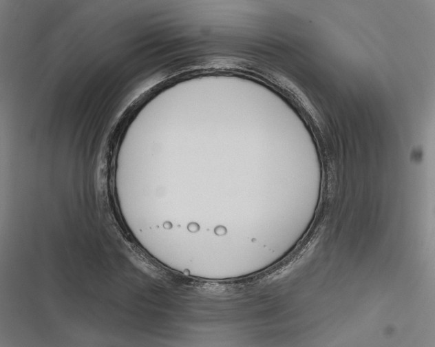 X0000116670827201001111309