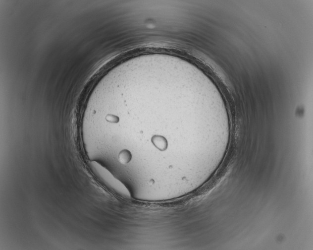 X0000116670829201001111309